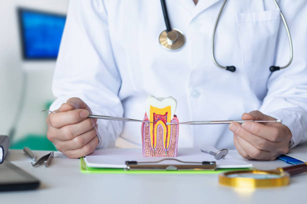 Best Emergency Cosmetic Dentistry in East Foothills, CA